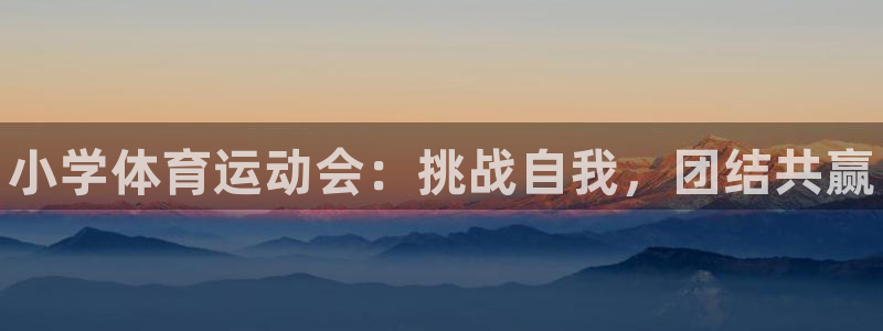 vsport体育官方正版app集团官网网址：小学体育运动会：