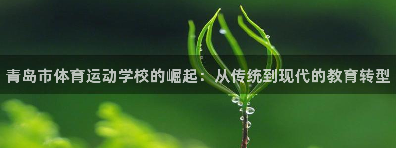 vsport体育官网下载平台注册要钱吗是真的吗：青岛