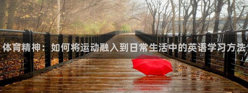 vsport体育官方正版app娱乐