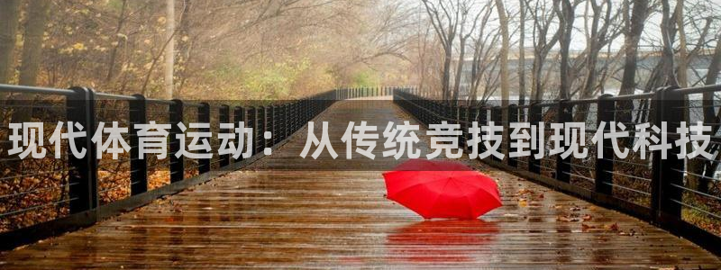 vsport体育官网下载平台是正规平台吗