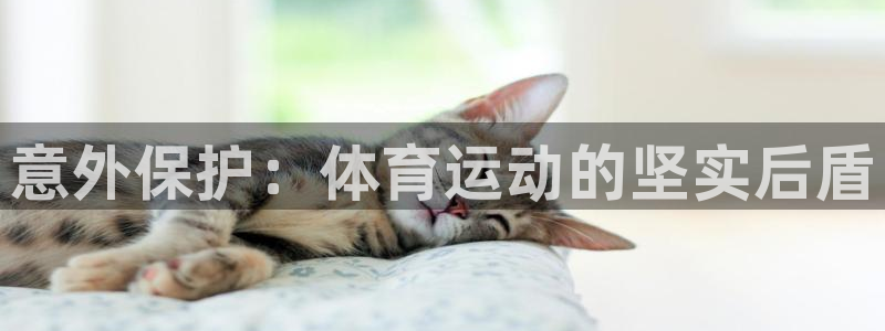vsport体育官网下载招商电话号码查询是多少：意外保护：体