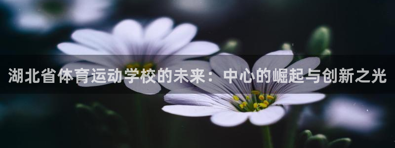 vsport体育官网下载平台注册要钱吗是真的吗：湖北