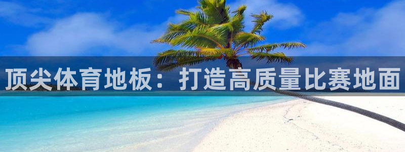 vsport体育官方正版app集团：顶尖体育地板：打