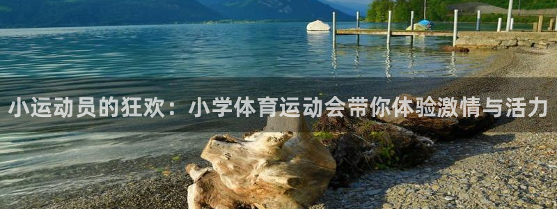 vsport体育官方正版app开户