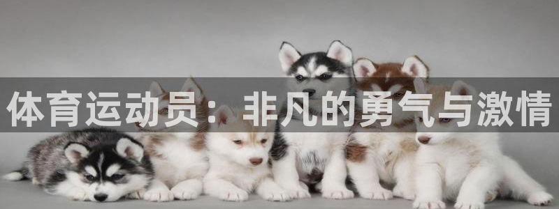 vsport体育官网下载平台是正规平台吗知乎：体育运动员：非