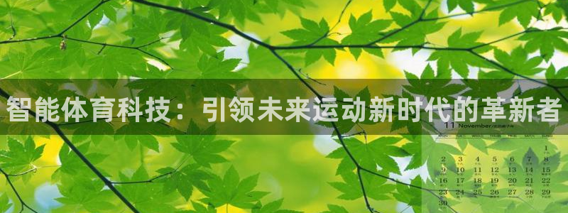 vsport体育官方正版app娱乐首页网站大全：智能