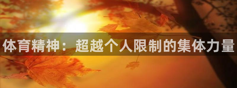 vsport体育官方正版app神州