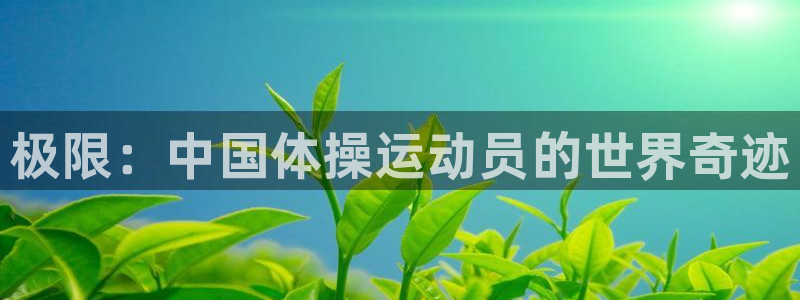vsport体育官网下载招商电话地址是多少