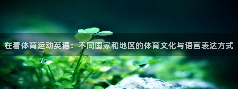 vsport体育官网下载招商电话号码是多少啊