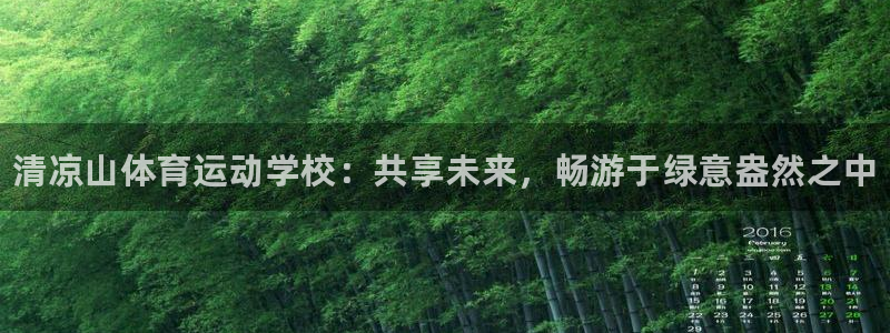 vsport体育官方正版app娱乐平台：清凉山体育运