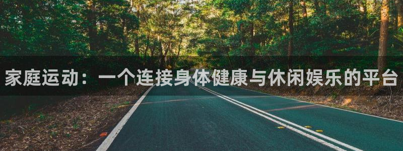 vsport体育官方正版app集团简介