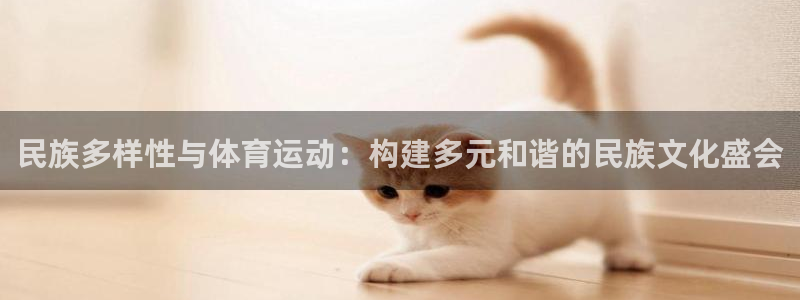 vsport体育官网下载娱乐：民族多样性与体育运动：构建多元