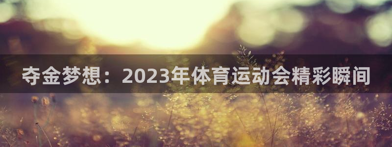 vsport体育官方正版app科技：夺金梦想：2023年体育