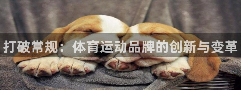海南vsport体育官网下载：打破常规：体育运动品牌的创新与