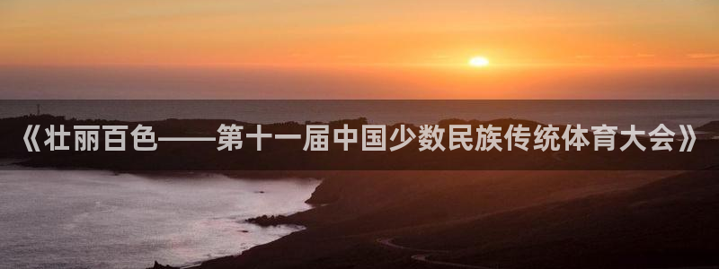 vsport体育官网下载是干嘛的公司：《壮丽百色——第十一届