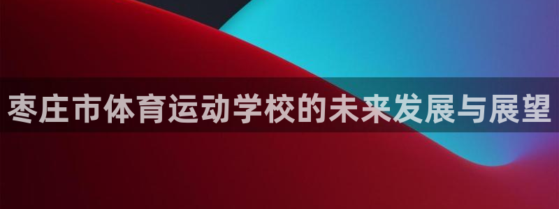 vsport体育官方正版app集团：枣庄市体育运动学校的未来