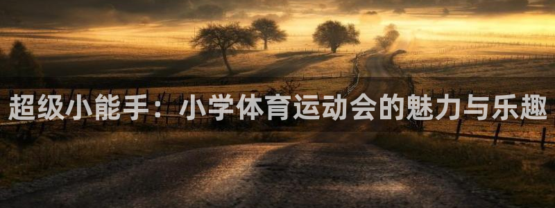 vsport体育官方正版app娱乐下载：超级小能手：小学体育