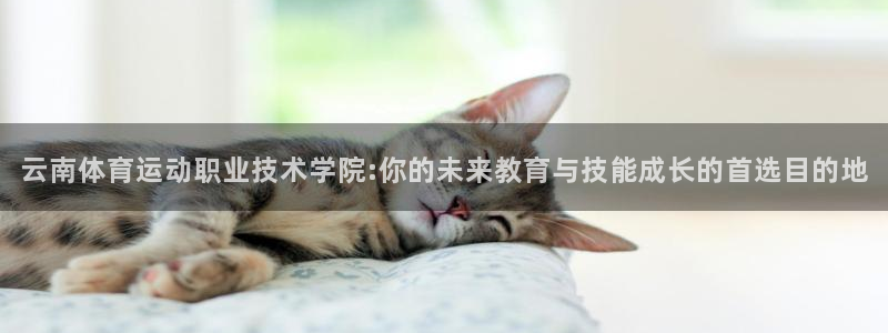 vsport体育官网下载注册：云南体育运动职业技术学院:你的
