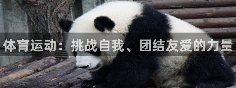 vsport体育官网下载招商电话：体育运动：挑战自我