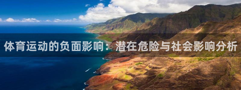 德国vsport体育官方正版app集团：体育运动的负