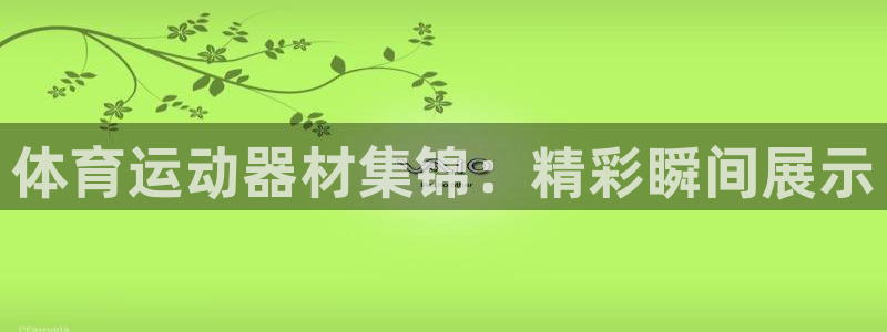 vsport体育官方正版app娱乐：体育运动器材集锦