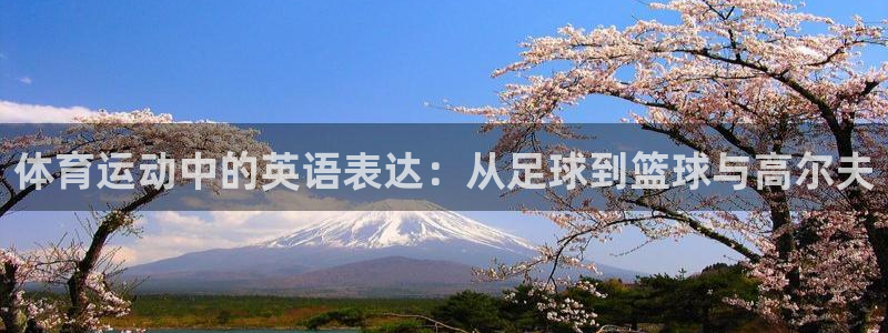 vsport体育官网下载招商电话是多少：体育运动中的英语表达