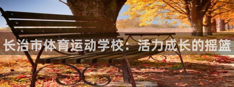 vsport体育官方正版app娱乐平台：长治市体育运动学校：