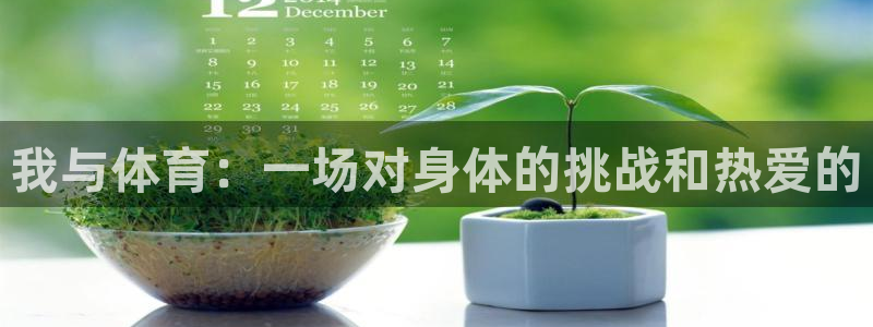 海南vsport体育官网下载：我与体育：一场对身体的挑战和热