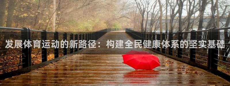 vsport体育官网下载联系电话：发展体育运动的新路径：构建