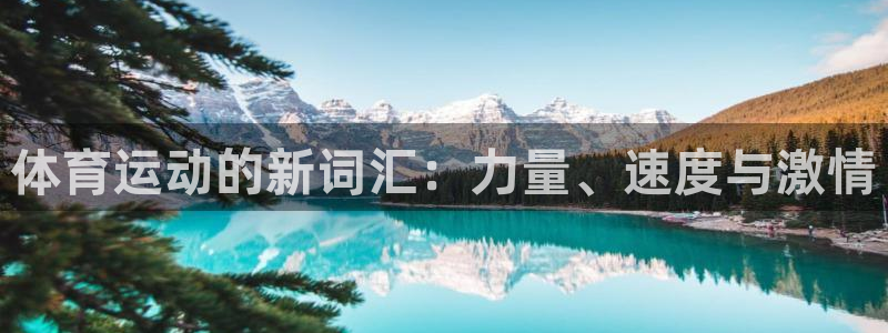 vsport体育官网下载平台注册要钱吗：体育运动的新词汇：力