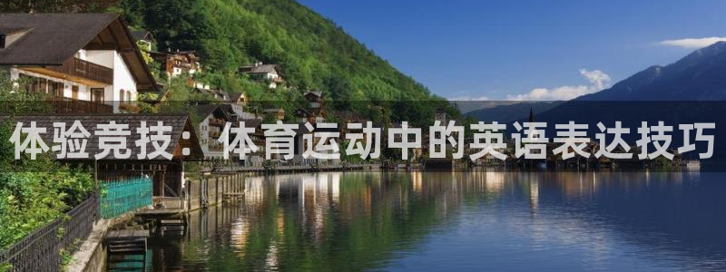 vsport体育官网下载平台注册流程视频：体验竞技：体育运动