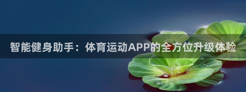 vSport体育app最新版本更新内容：智能健身助手：体育运