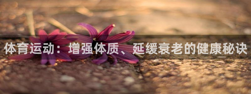 vsport体育平台app下载安装免费：体育运动：增强体质、