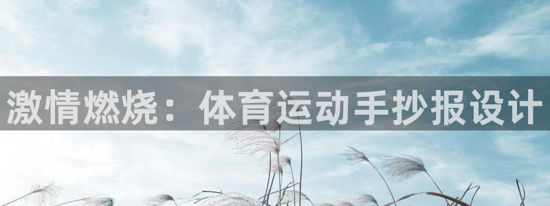  vsport体育平台app：激情燃烧：体育运动手抄报设计