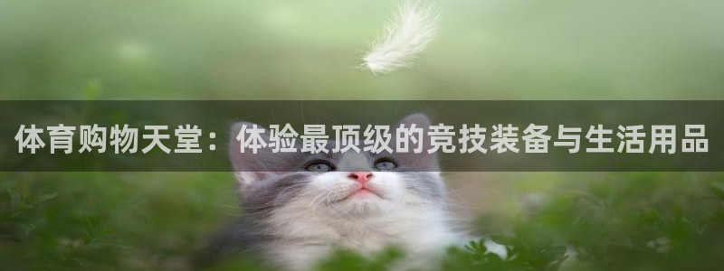 Vsport体育官网：体育购物天堂：体验最顶级的竞技装备与生
