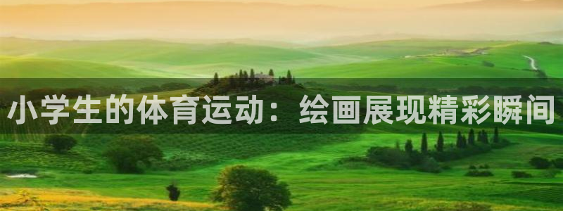  vsport体育：小学生的体育运动：绘画展现精彩瞬间