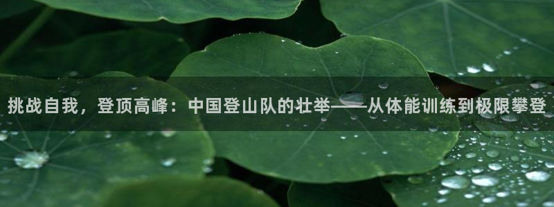  VSport体育官网入口：挑战自我，登顶高峰：中国登山队的壮