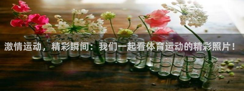 vsport体育在线官网阿根廷：激情运动，精彩瞬间：我们一起