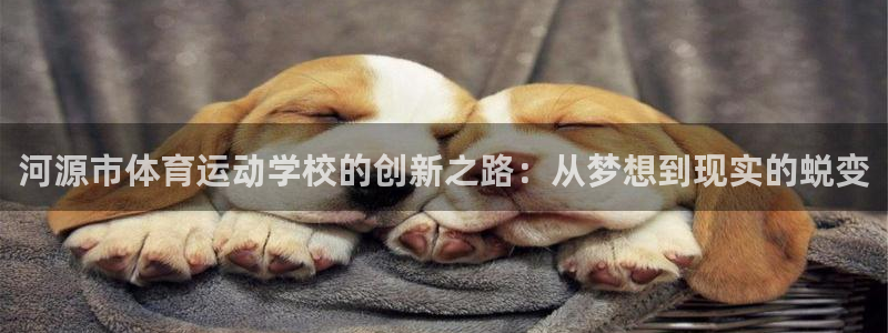 vsport体育平台：河源市体育运动学校的创新之路：从梦想到