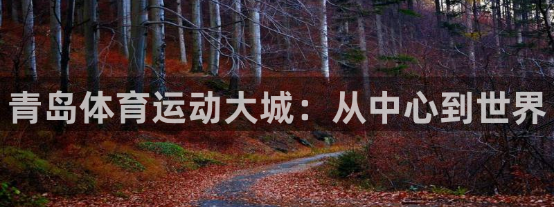 vsport体育官网下载平台是正规平台吗