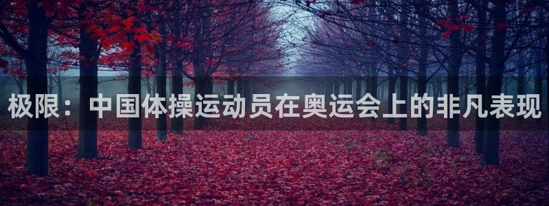 vsport体育官网下载招商电话号码查询