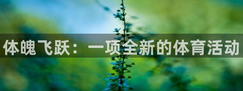 海南vsport体育官网下载发展怎么样：体魄飞跃：一项全新的