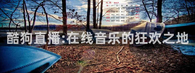 玩球直播app官网：酷狗直播:在线音乐的狂欢之地