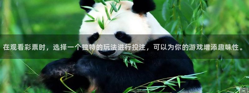 玩球直播nba体育直播：在观看彩票时，选择一个独特的玩法进行投注，可以为你的游戏增添趣味性。
