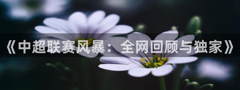 玩球直播jrs直播：《中超联赛风暴：全网回顾与独家》