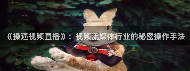 玩球体育直播吧：《操逼视频直播》：视频流媒体行业的秘密操作手法