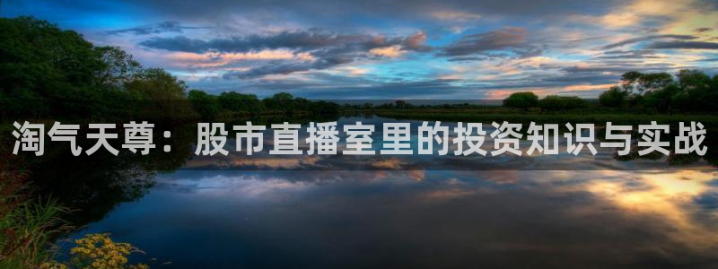下载玩球直播：淘气天尊：股市直播室里的投资知识与实战