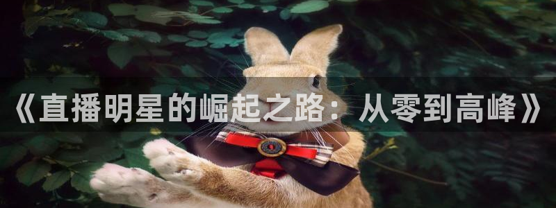 玩球体育：《直播明星的崛起之路：从零到高峰》