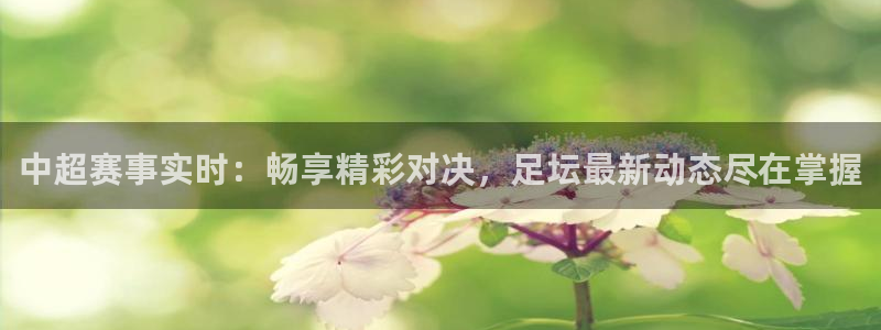 玩球直播最新版：中超赛事实时：畅享精彩对决，足坛最新动态尽在掌握