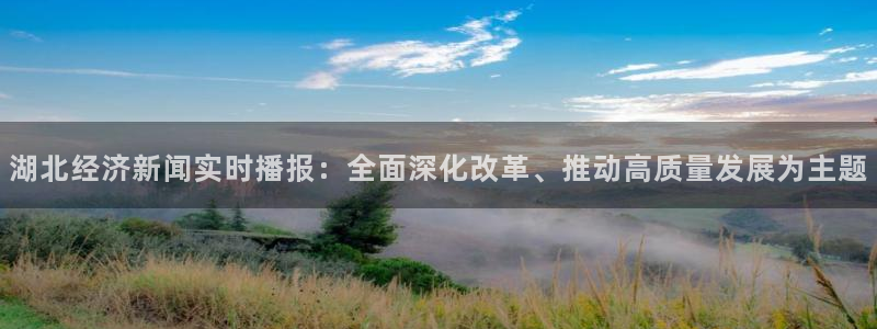 玩球nba直播：湖北经济新闻实时播报：全面深化改革、推动高质量发展为主题